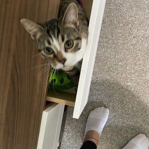 Meet your Posher, Steph